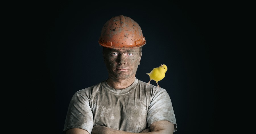 Canary in the Coal Mine