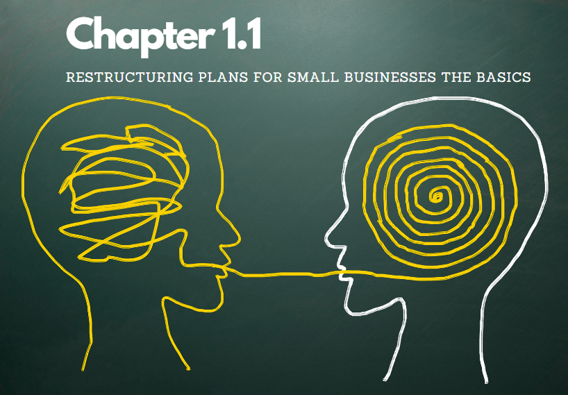 Chapter 1.1 – Restructuring Plans for Small Businesses the Basics