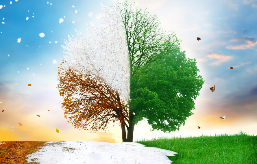 How Short-Term Loans Help Businesses Thrive Through Seasonal Fluctuations